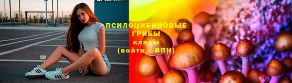 молекула духа Горнозаводск