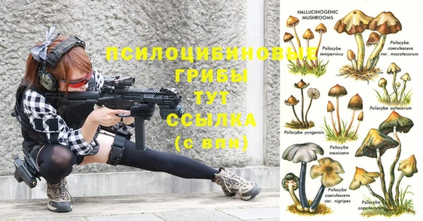 соль курить ск Вяземский