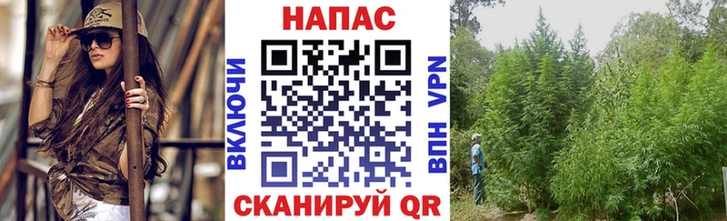 Бошки марихуана марихуана  Купить  Большой Камень 